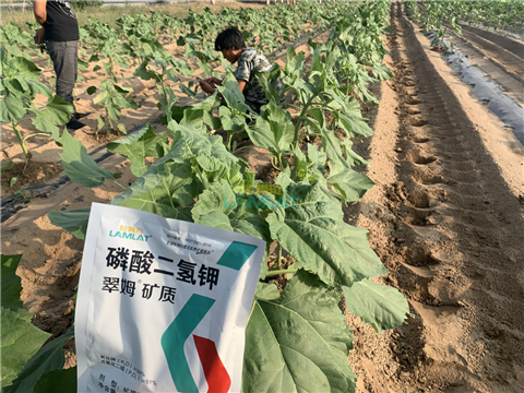 水溶肥，翠姆，拉姆拉