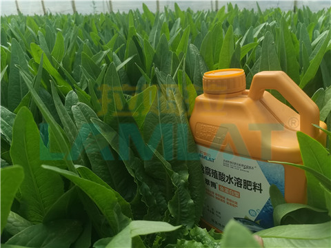 水溶肥，翠姆，拉姆拉
