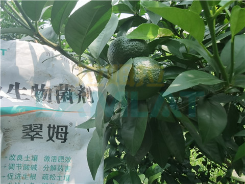 微生物菌劑，翠姆，拉姆拉