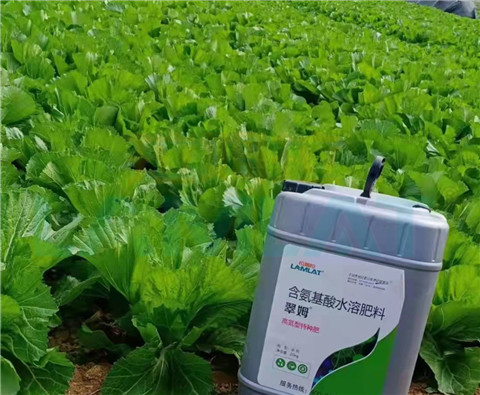 水溶肥，翠姆，拉姆拉