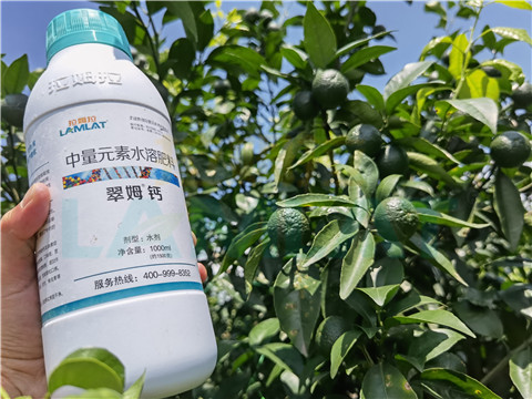 水溶肥，拉姆拉，翠姆