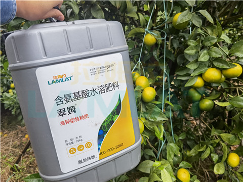水溶肥，拉姆拉，翠姆
