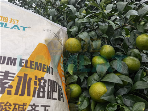 水溶肥，拉姆拉，翠姆