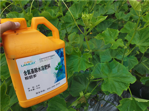 水溶肥，拉姆拉，翠姆