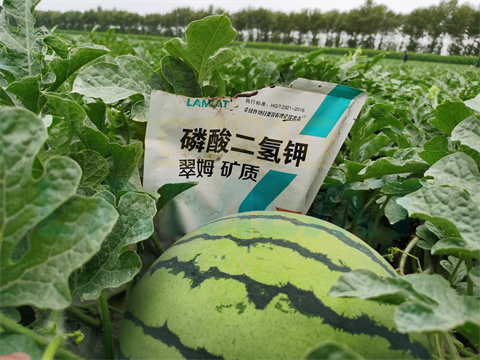 水溶肥，拉姆拉，翠姆