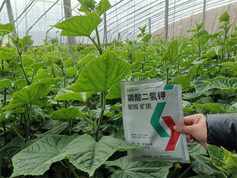 水溶肥，翠姆，拉姆拉