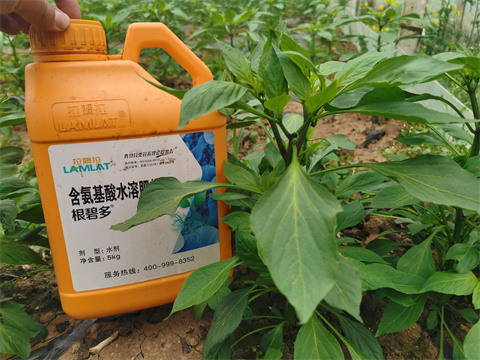 水溶肥，翠姆，拉姆拉