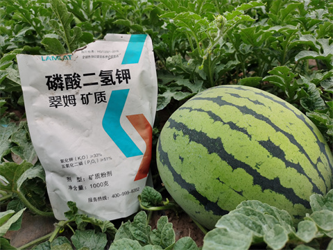 水溶肥，翠姆，拉姆拉