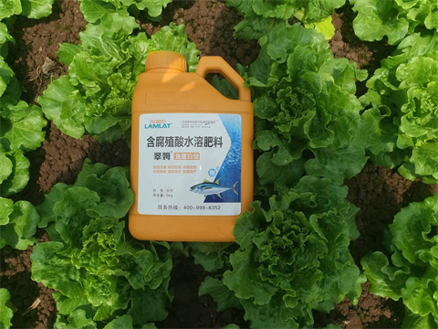 水溶肥,翠姆，蔬菜水溶肥