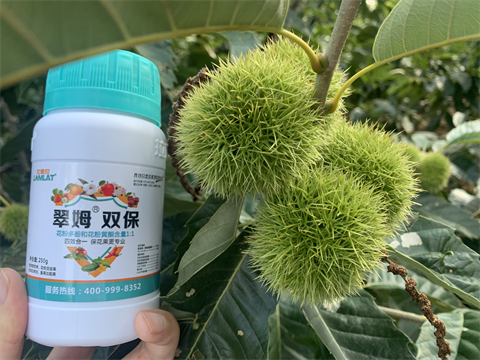 水溶肥品牌,板栗?；ū９?翠姆雙保